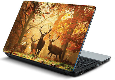 

Printclub PCLS-1275 Vinyl Laptop Decal 15.6