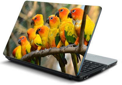 

Printclub PCLS-1793 Vinyl Laptop Decal 15.6