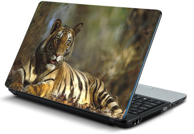 

Printclub PCLS-1130 Vinyl Laptop Decal 15.6