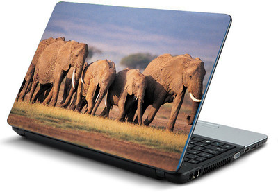 Printclub PCLS-1544 Vinyl Laptop Decal 15.6