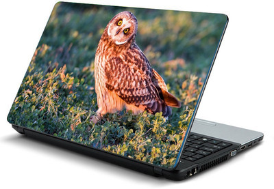 

Printclub PCLS-1135 Vinyl Laptop Decal 15.6