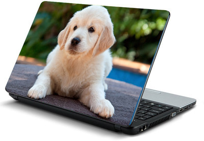 Printclub PCLS-1843 Vinyl Laptop Decal 15.6