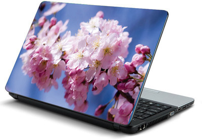 

Printclub PCLS-1279 Vinyl Laptop Decal 15.6