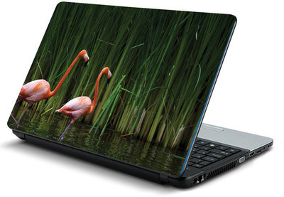 

Printclub PCLS-1615 Vinyl Laptop Decal 15.6