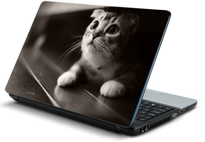 

Printclub PCLS-0376 Vinyl Laptop Decal 15.6