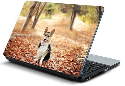 

Printclub PCLS-1805 Vinyl Laptop Decal 15.6