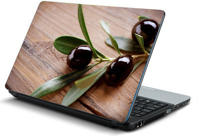 Printclub PCLS-1772 Vinyl Laptop Decal 15.6