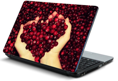 

Printclub PCLS-1425 Vinyl Laptop Decal 15.6