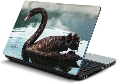 Printclub PCLS-1652 Vinyl Laptop Decal 15.6