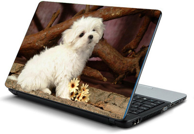 

Printclub PCLS-1107 Vinyl Laptop Decal 15.6