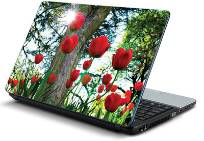 

Printclub PCLS-1343 Vinyl Laptop Decal 15.6