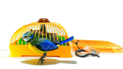 

HALO NATION Singing & Chirping Beautiful Birds In a Cage - Realistic Sounds & Movements!!!!(Multicolor)