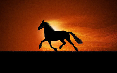 

Quotes Decorative Running Horse Poster Paper Print(18 inch X 12 inch)