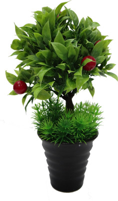 

Ace Flowers Multicolor Assorted Artificial Flower with Pot(8.25 inch, Pack of 1)