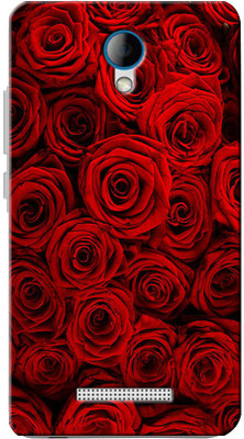 SEI HEI KI Back Cover for Karbonn Titanium Machfive(Multicolor, Flexible Case) Flipkart