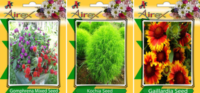 

Airex Gomphrena Mixed, Kochia, and Gaillardia Seed(20 per packet)