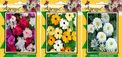 

Airex Vinca, Thunbergia, and White Zinnia Seed(20 per packet)