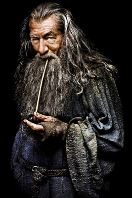 

The Hobbit Gandalf ON GOOD QUALITY HD QUALITY WALLPAPER POSTER Fine Art Print(19 inch X 13 inch, Rolled)