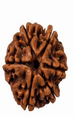 

RUDRA UNIVERSE 6 MUKHI RUDRAKSHA OF NEPAL ORIGIN Wooden Yantra