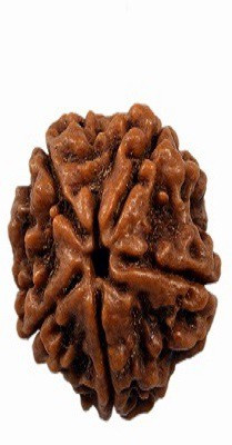 

RUDRA UNIVERSE 5 MUKHI RUDRAKSHA OF NEPAL ORIGIN Wooden Yantra