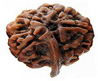 

RUDRA UNIVERSE GANESH RUDRAKSHA OF NEPAL ORIGIN Wooden Yantra