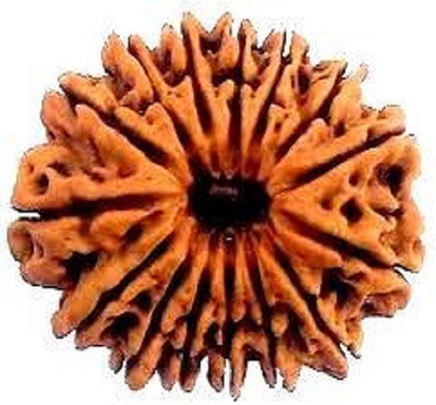 

RUDRA UNIVERSE 15 MUKHI RUDRAKSHA OF NEPAL ORIGIN Wooden Yantra