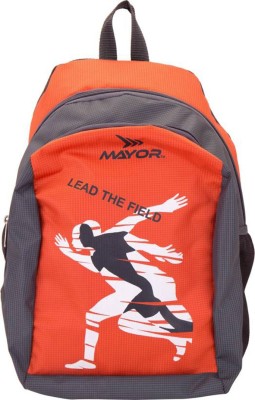 AOKING Mayor 25 L Laptop Backpack(Multicolor)