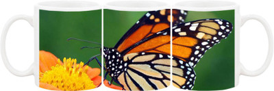 

Ashvah Mug614 Ceramic Mug(350 ml), Multicolor