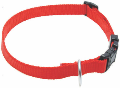 

SICONS Dog Everyday Collar(, Red