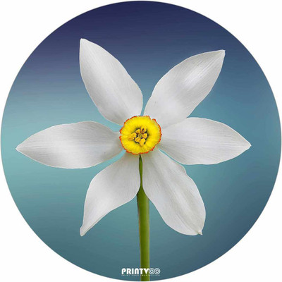 

PrintVoo Flower Design Mousepad(Multicolor)