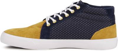 DC Sneakers
