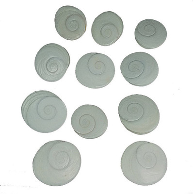 

RUDRA Natural Gomti Chakra-11 piece Decorative Showpiece - 1 cm(Marble, White)