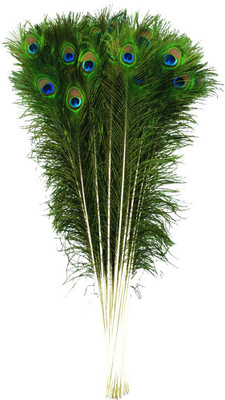 

Takething Pack of 4 Decorative Feathers(70 Peacock Feather)