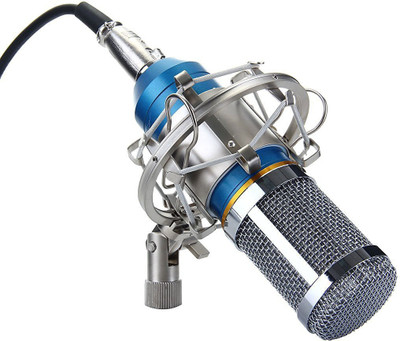 

Robustrion BM-800 Microphone