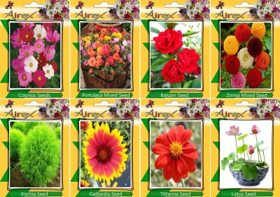 Airex Cosmos Mixed, Portulaca Mixed, Balsam, Zinnia Mixed, Kochia, Gaillardia, Tithonia, and Lotus Seed(20 per packet)