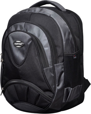 

Spyki 15 inch Laptop Backpack(Grey)