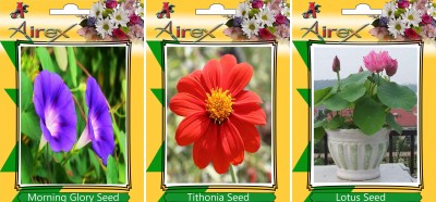 Airex Morning Glory, Tithonia, and Lotus Seed(25 per packet)