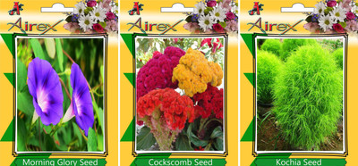 

Airex Morning Glory, Cockscomb, and Kochia Seed(15 per packet)