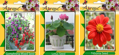 

Airex Gomphrena Mixed, Lotus, and Tithonia Seed(25 per packet)