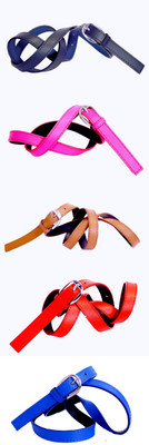 

Piftif Women Casual Multicolor Artificial Leather Belt