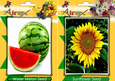 

Airex Water Melon, Sunflower Seed(15 per packet)