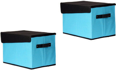 

FULLHOUZ L Head LightBlue2 Storage Box(Multicolor)