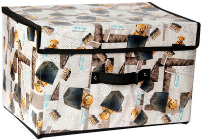 

FULLHOUZ Gloss Teddy Storage Box(Multicolor)