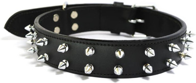 

Sollar's Black Double Spiked Leather Dog Everyday Collar(, Black