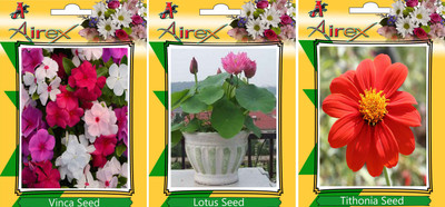 

Airex Vinca, Lotus, and Tithonia Seed(15 per packet)