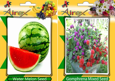 

Airex Water Melon, Gomphrena Mixed Seed(20 per packet)