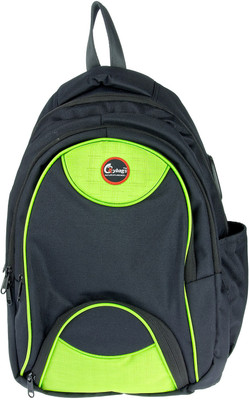

JG Shoppe M59 20 L Backpack(Grey), Green