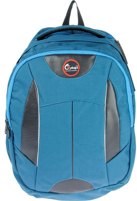 

JG Shoppe M60 20 L Backpack(Blue)