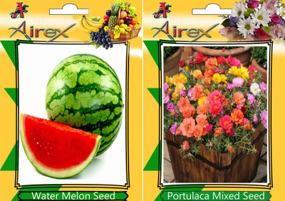 

Airex Water Melon, Portulaca Mixed Seed(15 per packet)