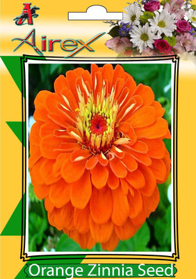 Airex Orange Zinnia Seed(15 per packet)